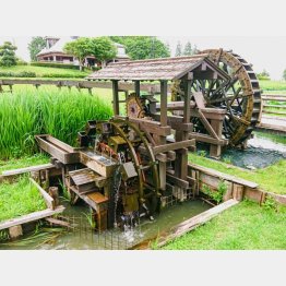 日本は水資源が豊富（水車）