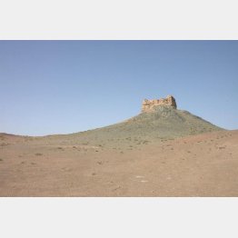 写真①（Wikimedia Commons）