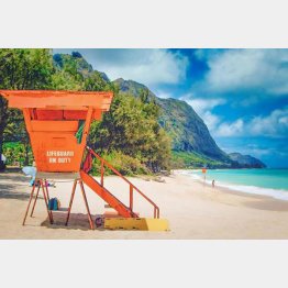 写真はイメージ