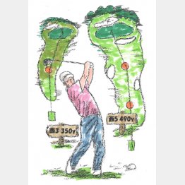 イラスト・たかぎしひろや