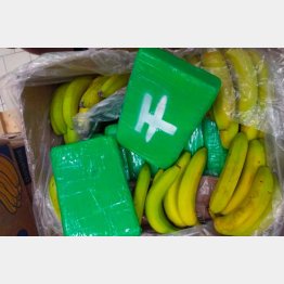 バナナに混じって…（ツイッターから）