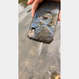 （写真1）苔まみれのiPhone（フェイスブックの「シンダーフォード・ノーティスボード」から）