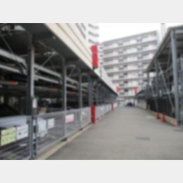 車は決められたスペースに入れてください（提供写真）