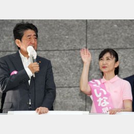 安倍元首相が全力支援だが…（右が、生稲晃子候補）／（Ｃ）日刊ゲンダイ