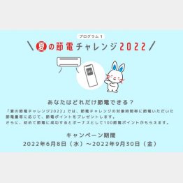 節電ポイント（東京電力HPから）