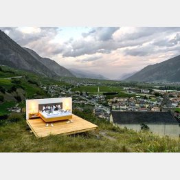 屋根もないし、眠るためのベッドではないんだって（インスタグラムから）