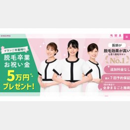 （KIREIMO公式HP）