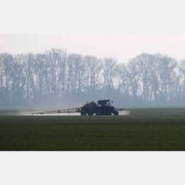 ウクライナの小麦畑（Ｃ）ロイター