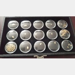 伊藤さんが今までに採取した砂金（提供写真）