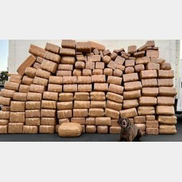 （ツイッターから）