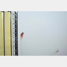 福州市公安局の微信（ウィーチャット）から