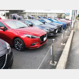 写真はイメージ