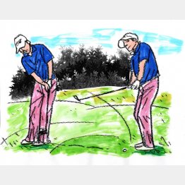 イラスト・たかぎしひろや