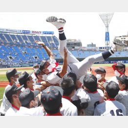 横浜スタジアムで胴上げされる村田監督（Ｃ）日刊ゲンダイ