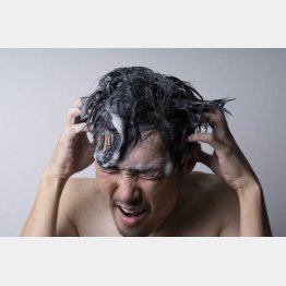 つい熱が入りシャウト～ッ！