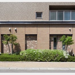 敷地内には植栽もあってきちんとお手入れも…（写真はイメージ）