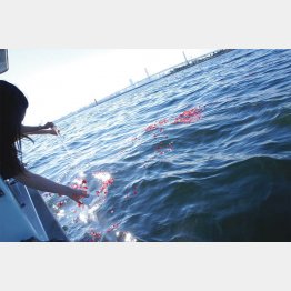 墓じまいと散骨がセットになったサービスも（ハウスボートクラブ提供）