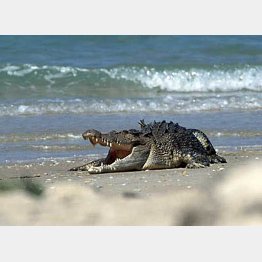 美しい海には危険もあります（インスタグラムから）