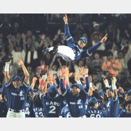 ナインに胴上げされる権藤監督（Ｃ）共同通信社