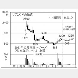 サスメドの株価チャート（Ｃ）日刊ゲンダイ