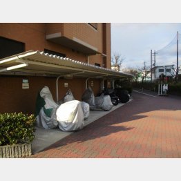 「9時から5時」がなによりです（提供写真）