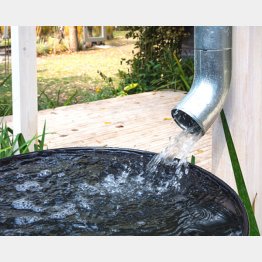 写真はイメージ（Ｃ）tanyss／iStock