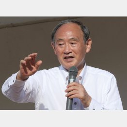 “スゲ”ではない（菅前首相）／（Ｃ）日刊ゲンダイ