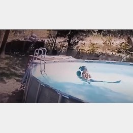 ロリさんを救助するギャビン君（ロリさんのフェイスブックから）