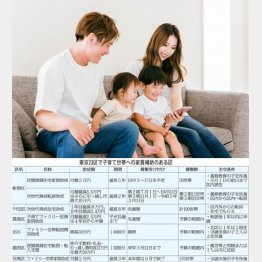 東京23区で子育て世帯への家賃補助のある区