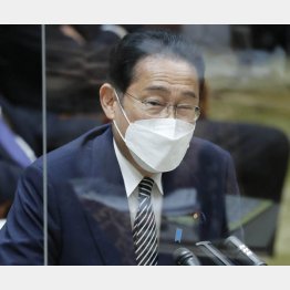 のらりくらり（Ｃ）日刊ゲンダイ