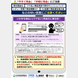 国も警鐘を鳴らすBNPL（金融庁提供）