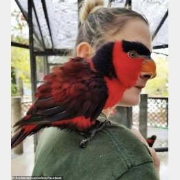 完璧なタイミング！（フェイスブックから）