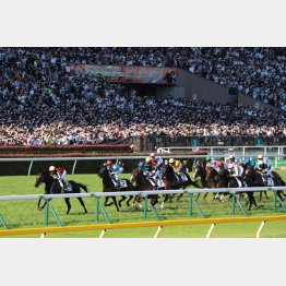 「競馬で月に20万円」と言われて…（写真はイメージ）／（Ｃ）日刊ゲンダイ