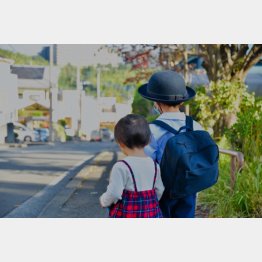 なぜ同じことが繰り返される…（写真はイメージ）