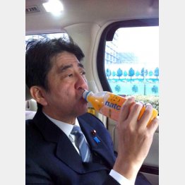 お気に入りの「なっちゃん」まで（「安倍晋三フェイスブック」から）