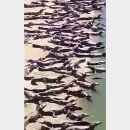 こんな光景、見たことない！（ツイッターから）