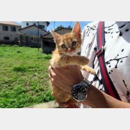 えええ～っ？！また捨てたってことですよお～！？（写真はイメージ）