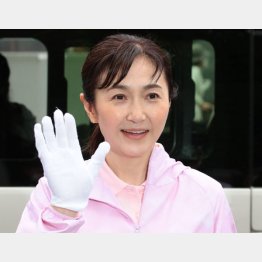 これぞ自民党クオリティ（生稲晃子参院議員）／（Ｃ）日刊ゲンダイ