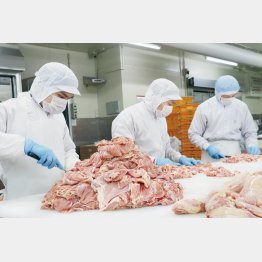 品質管理・衛生管理にこだわった加工工場（提供写真）