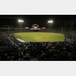 だから興味ないってば（Ｃ）日刊ゲンダイ