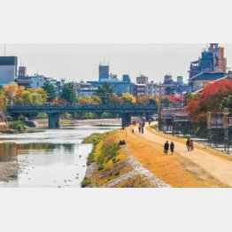 秋の観光シーズンはこれからなのに…