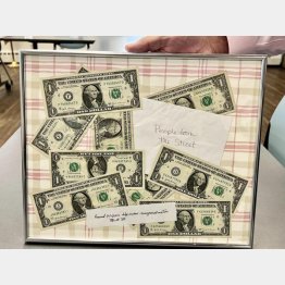 （アンバーさんのフェイスブックから）