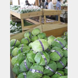 さまざまな料理で使いたい（Ｃ）日刊ゲンダイ