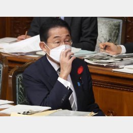 国会に出たくない？（岸田首相）／（Ｃ）日刊ゲンダイ