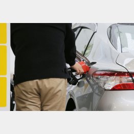 写真はイメージ（Ｃ）日刊ゲンダイ