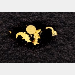 写真はイメージ（Ｃ）stigalenas／iStock