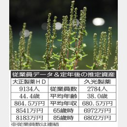 秋はブタクサの花粉が飛ぶ