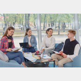 写真はイメージ