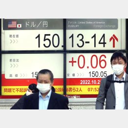 うさぎ相場は跳ねるというが…（Ｃ）日刊ゲンダイ