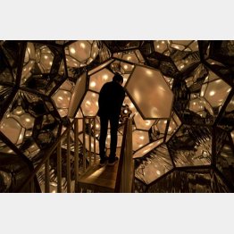 「Fullmoon effect」／（提供写真）